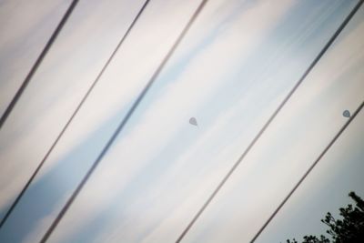 Low angle view of bird flying against sky