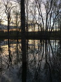 Reflection of bare trees in lake at sunset