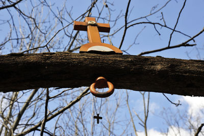 Low angle view of birdhouse on tree against sky