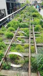 Close-up of plants