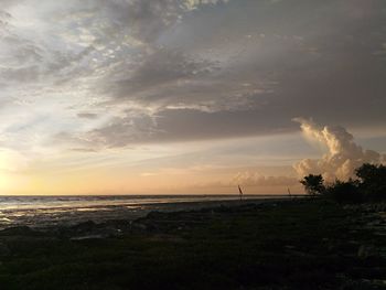 Scenic view of field against sky during sunset