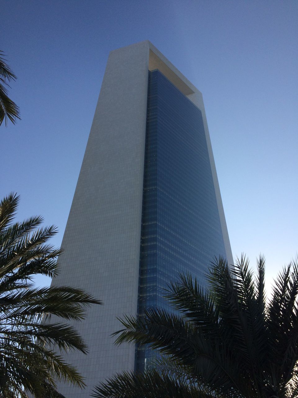 low angle view, tree, clear sky, sky, built structure, architecture, modern, no people, skyscraper, building exterior, day, outdoors, city, nature