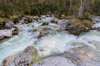 River flowing through rocks in forest