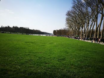 Scenic view of grassy field against sky