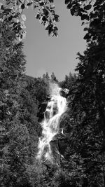 Scenic view of waterfall against sky in forest