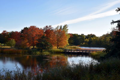 Scenic view of lake by trees against sky during autumn