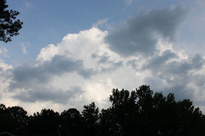 Low angle view of silhouette trees against sky