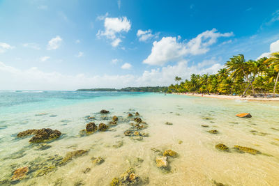 Scenic view of beach against sky