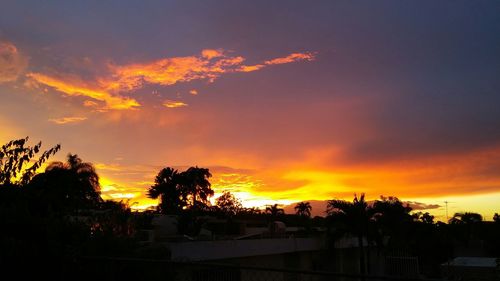 Silhouette of trees at sunset