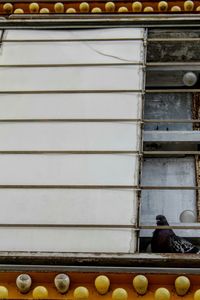 Yellow built structure