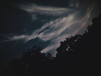 Low angle view of silhouette trees against sky at night