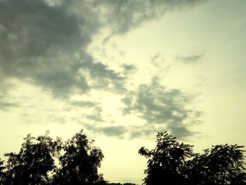 Low angle view of silhouette trees against sky