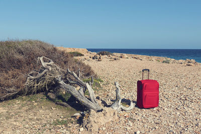 Scenic view of beach against clear sky