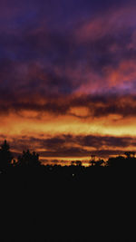 Silhouette trees against dramatic sky during sunset