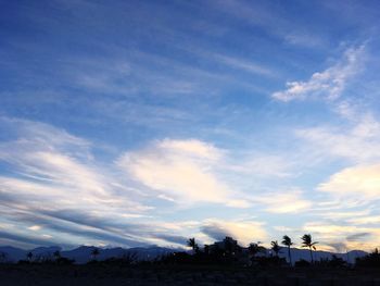 Silhouette trees against sky during sunset