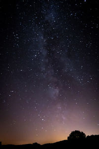 Low angle view of silhouette trees against star field at night