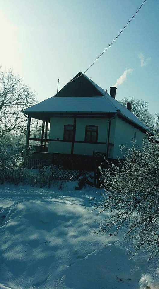 built structure, house, winter, architecture, no people, building exterior, tree, cold temperature, day, outdoors, snow, sky