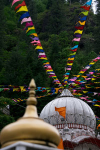 Multi colored umbrellas hanging on flower