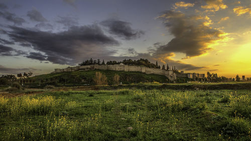 Scenic view of field against sky during sunset