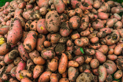 Full frame shot of fruits for sale at market stall