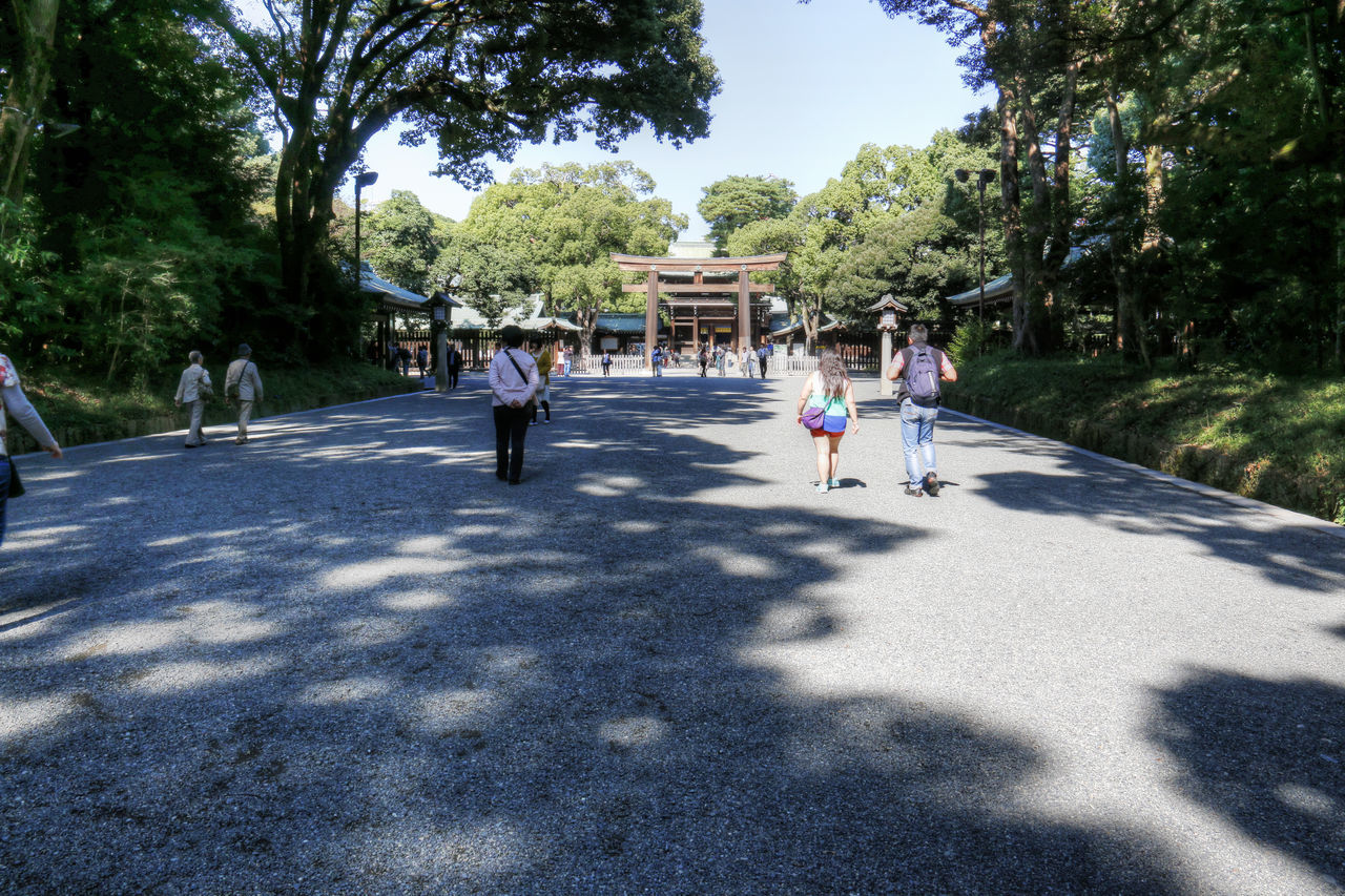 PEOPLE WALKING ON ZEBRA CROSSING