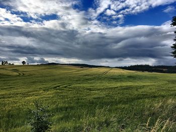 Scenic view of landscape against sky