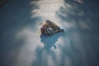 High angle view of leaf floating on sea during winter