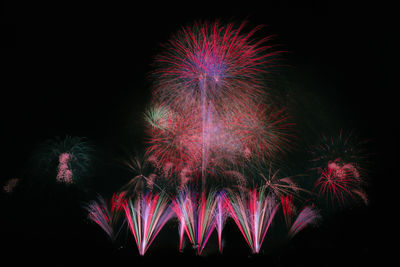 Low angle view of firework display at night