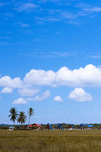 Scenic view of field against blue sky