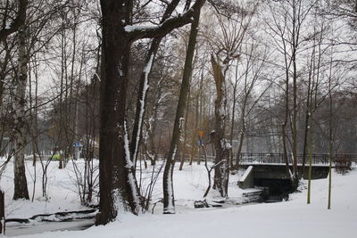 Bare trees on snow covered landscape