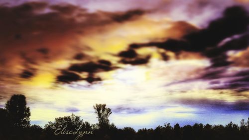 Low angle view of silhouette trees against dramatic sky