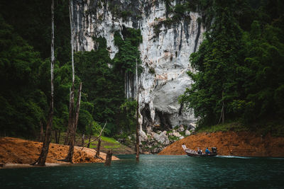 Scenic view of waterfall in forest
