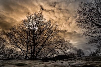 Bare tree against sky during sunset