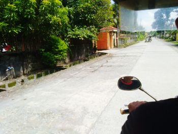 Man holding glass of road by trees