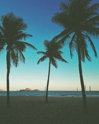 Palm trees on beach against clear sky