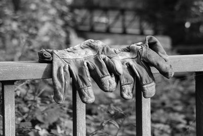 Close-up of gloves drying on railing