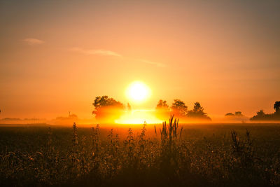 Silhouette plants on field against romantic sky at sunset