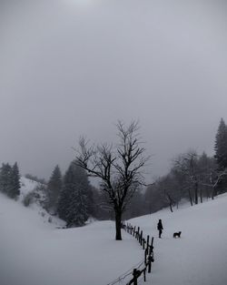 Trees on snow covered field against sky