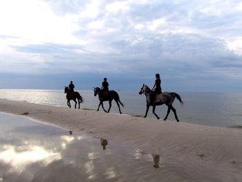 People riding horses on beach against cloudy sky