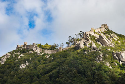 Low angle view of trees against sky