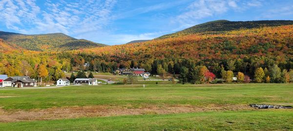 Scenic view of field against mountain