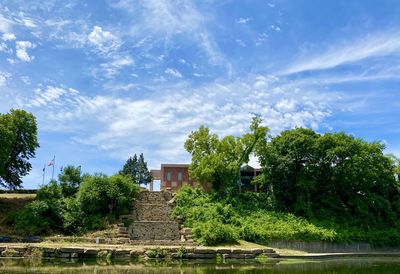 Trees and plants by lake against building