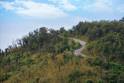 Road amidst trees against sky