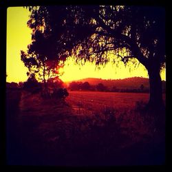 Scenic view of landscape at sunset