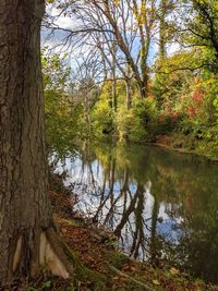 Reflection of trees in lake during autumn