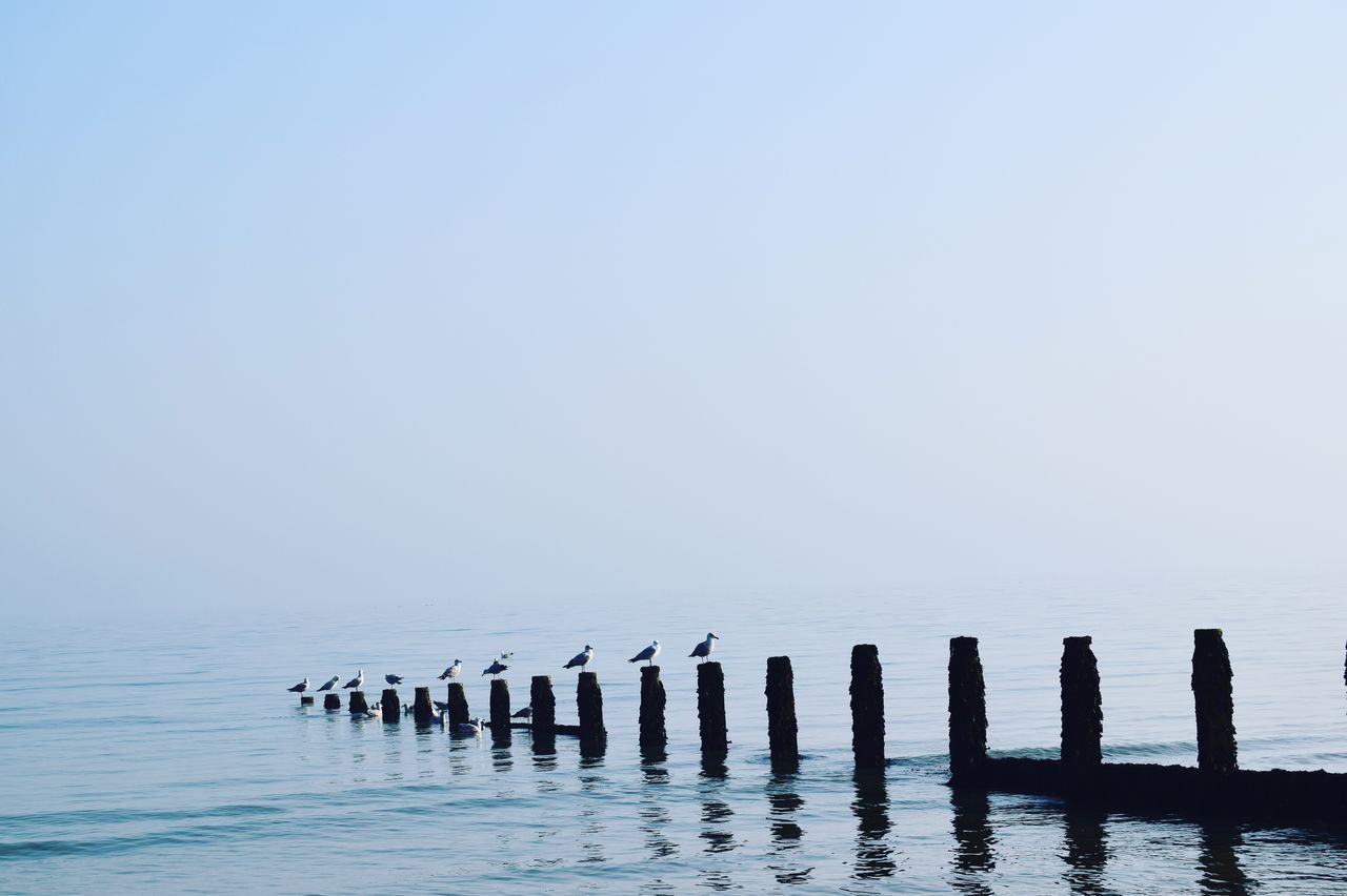 water, waterfront, sky, clear sky, copy space, wooden post, sea, post, nature, no people, tranquility, beauty in nature, wood - material, tranquil scene, scenics - nature, day, reflection, in a row, outdoors, groyne