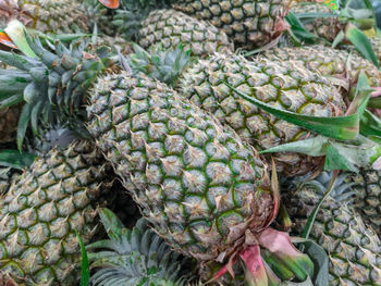 High angle view of fruits for sale in market