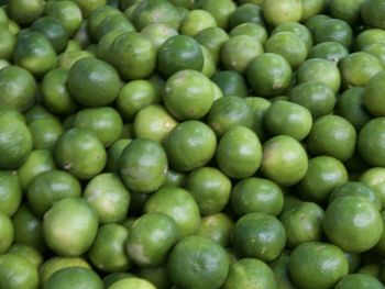 Full frame shot of green beans