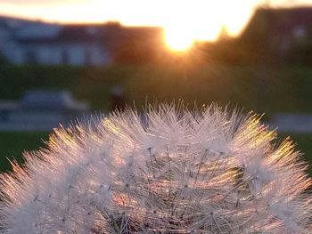 Close-up of snow against sky during sunset