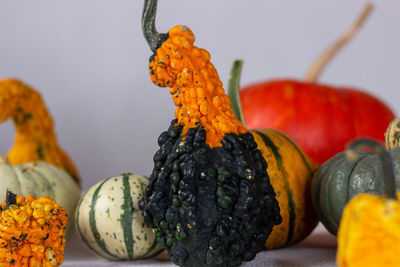Close-up of pumpkin against orange background
